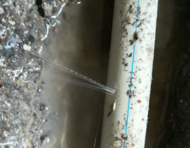 扬中测漏水哪家好