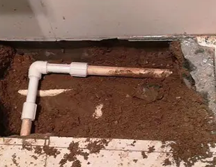 扬中测漏水哪家好