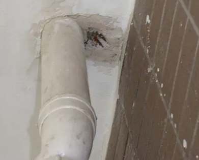 扬中漏水检测哪家好